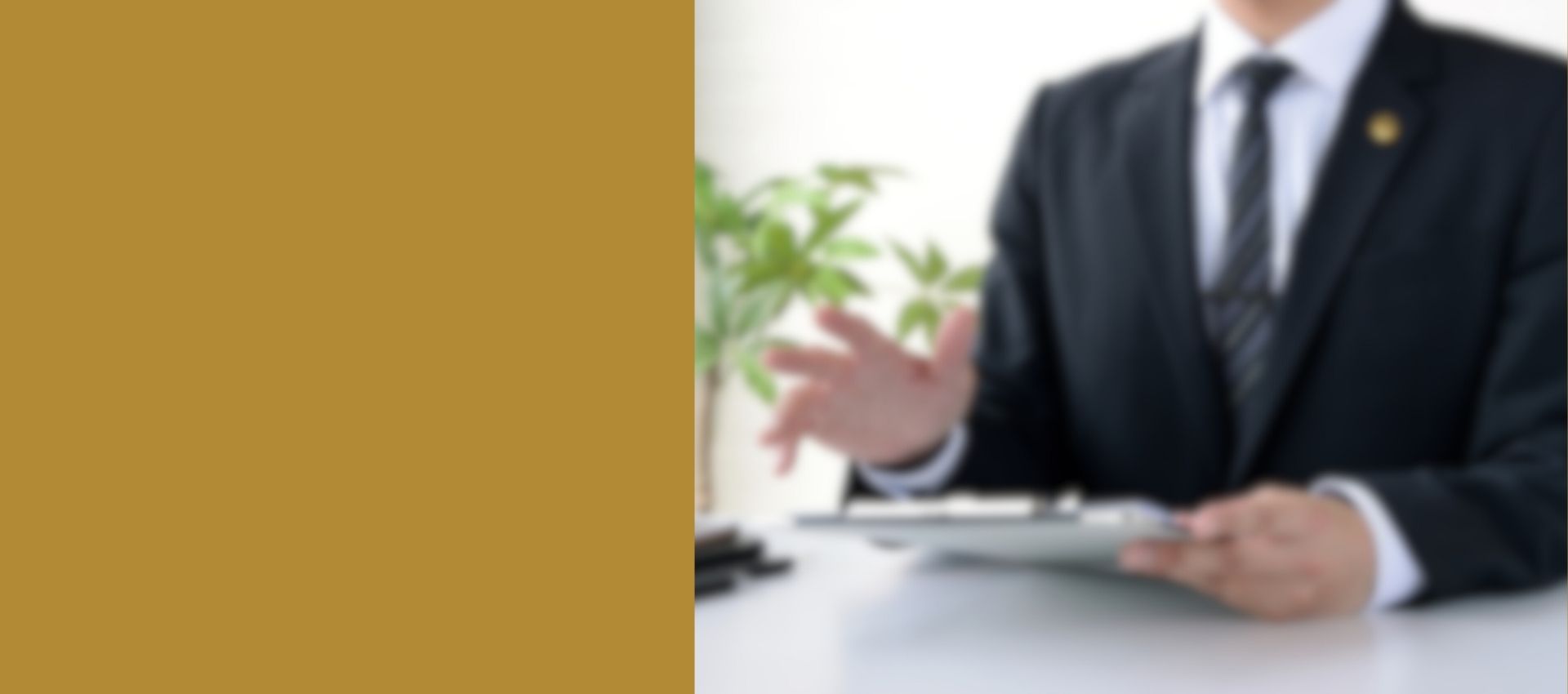 slider2 - EdaxService Inicio imagen 2